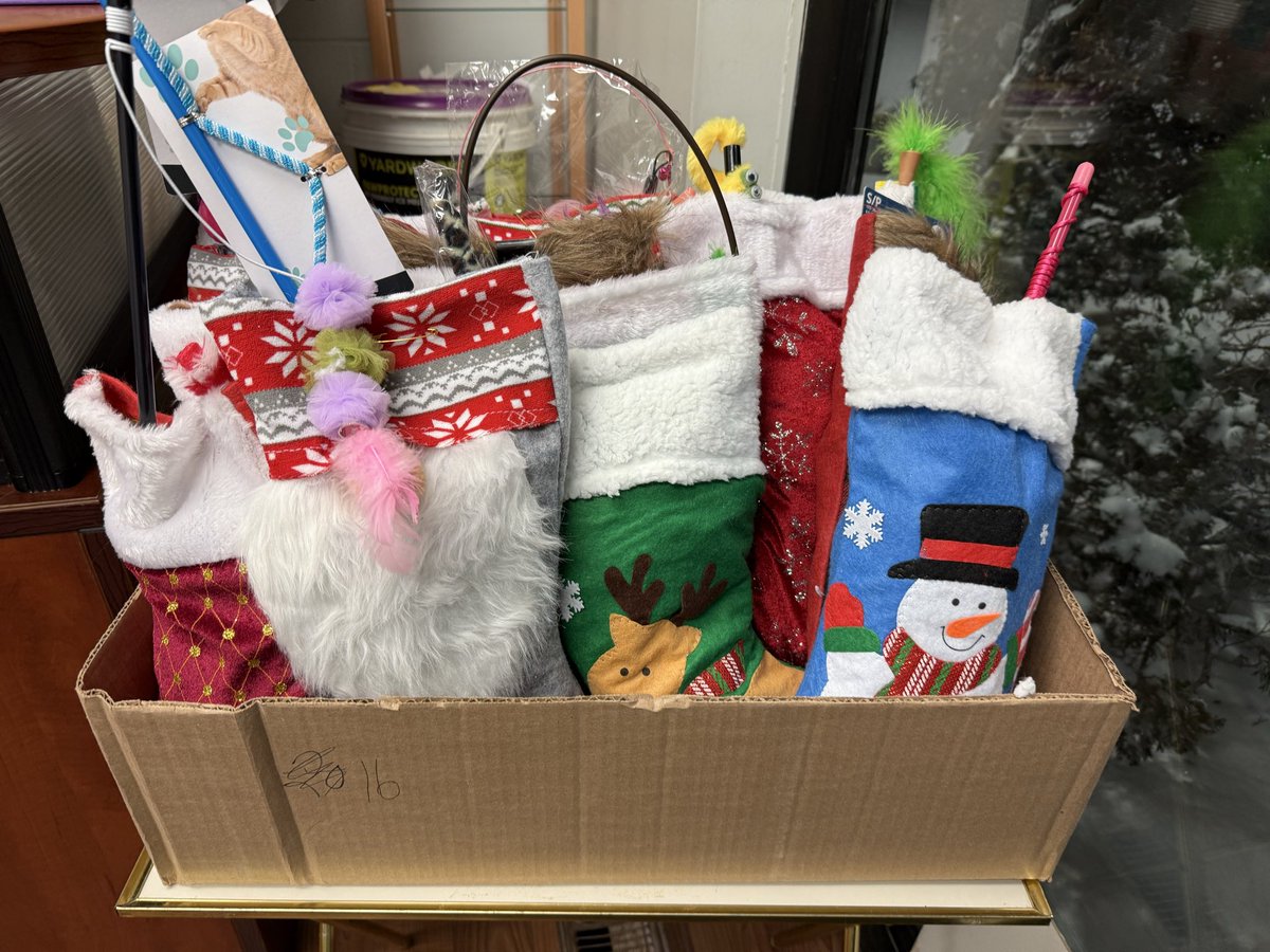 SAFEteamrescue's tweet photo. Our Christmas Stockings Pick Up and craft sale is up and running!  We are at our shelter (4610 97 Street, Edmonton) until 8 PM tonight (and from 10-12 PM tomorrow).  Our Christmas Stockings are $30 each and our crafts range from $3 - $20 (cash only please). https://t.co/inOkvWOKmi