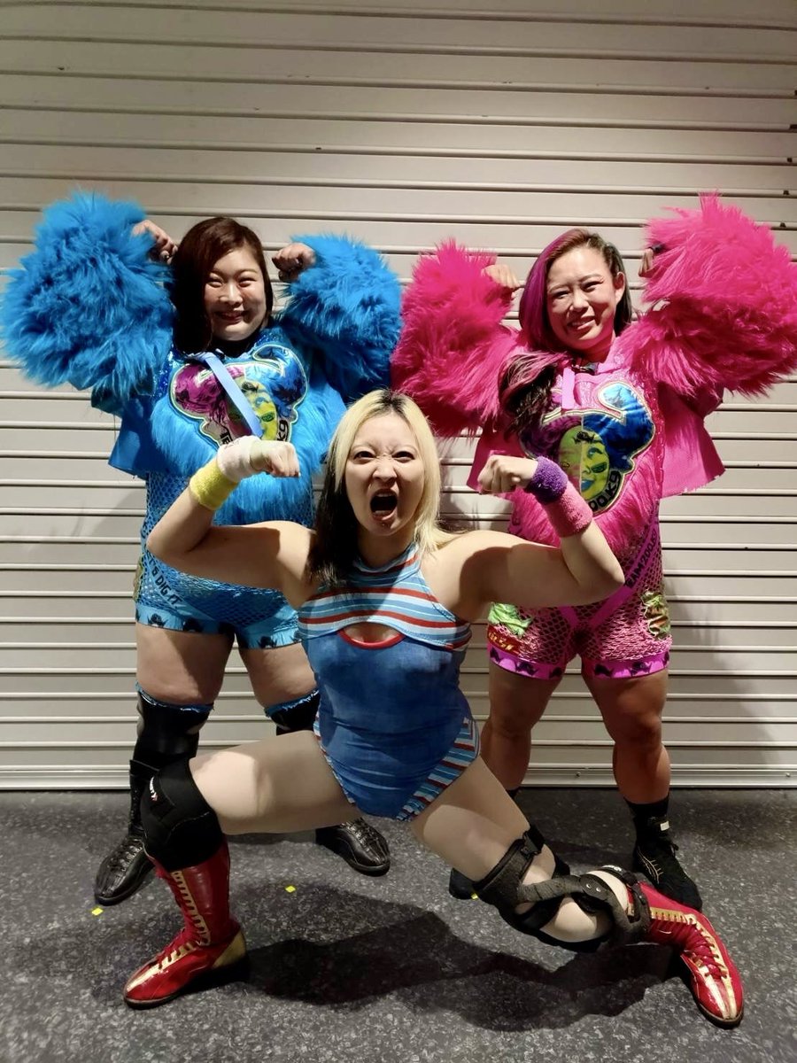 ハイビスカスみぃ HibiscusMii (@hibiscusmii) / Posts / X