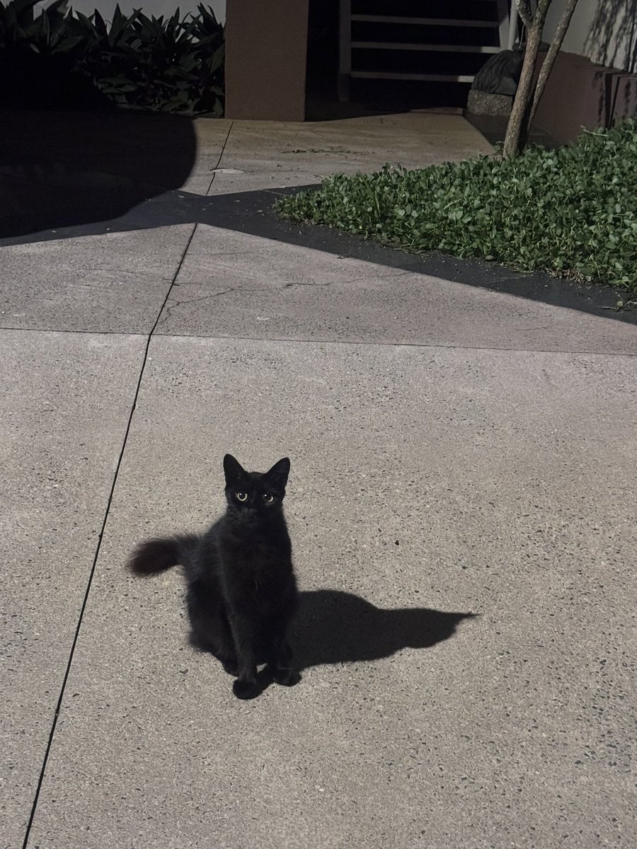 Gui (@emptylol7) on Twitter photo 