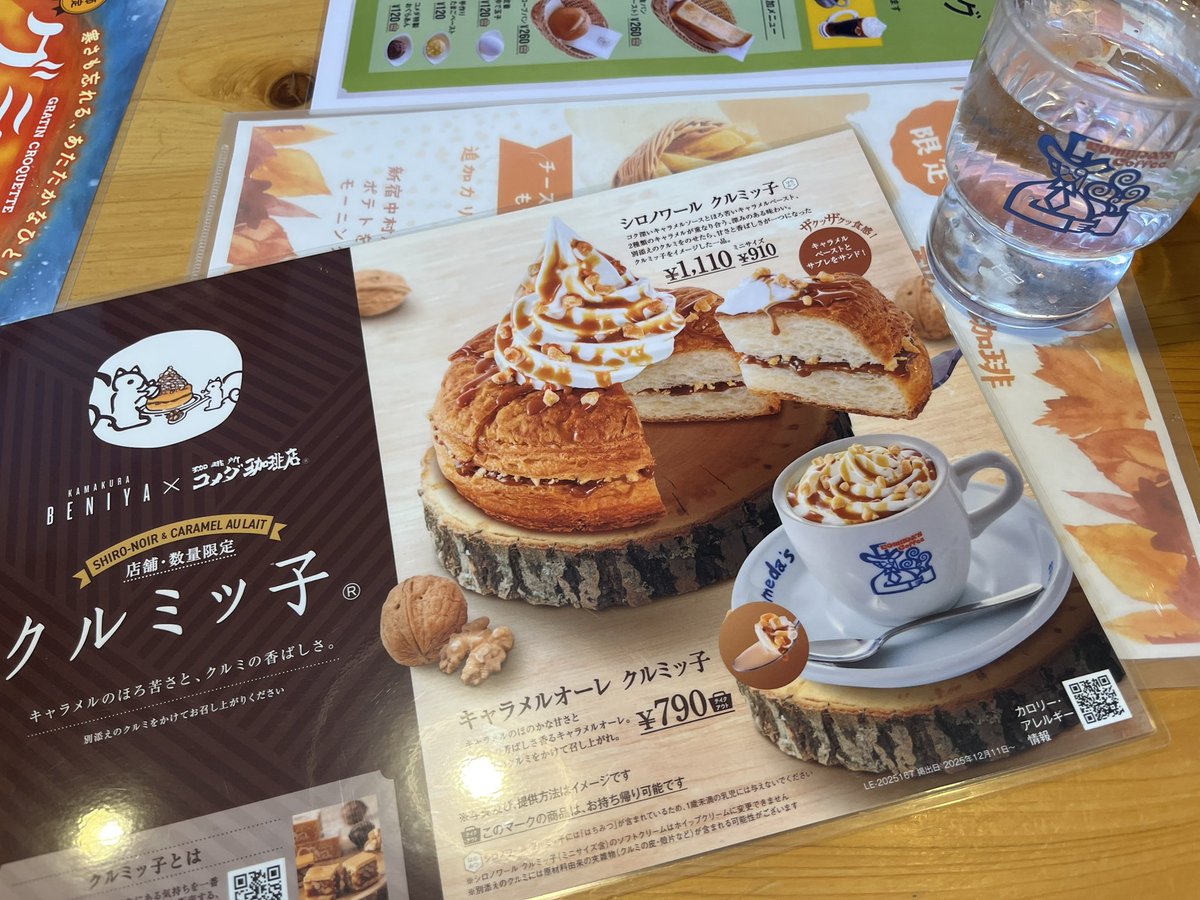 コマちゃん (@YUKA_komachan) / Posts / X