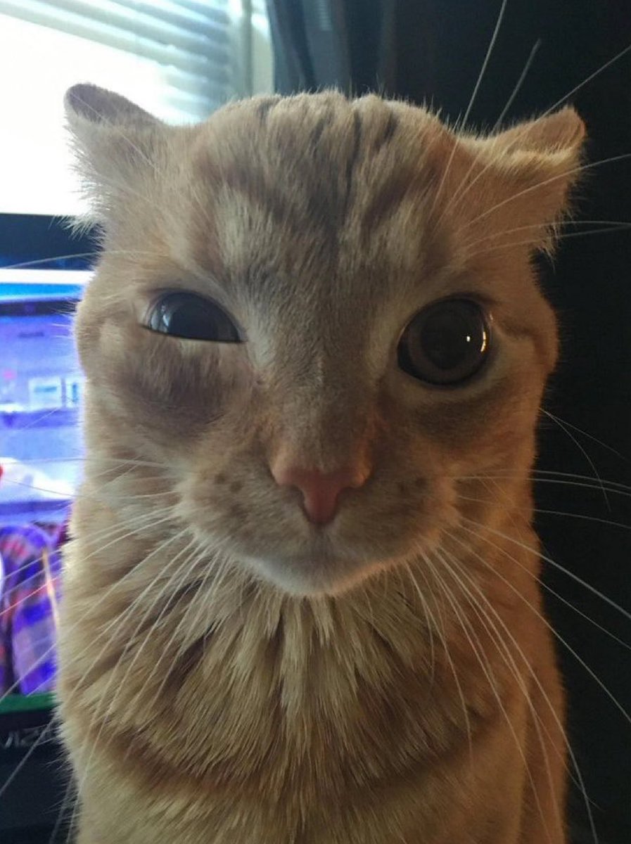 Thank GOD all final exams are done. 

Hope everyone who’s a student performed well on your exams!