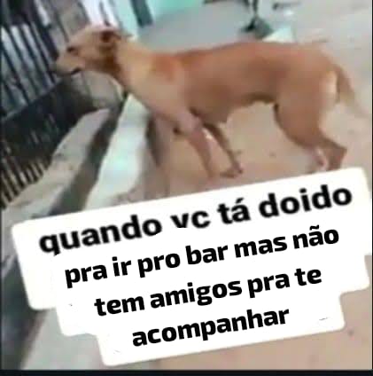 falecidovitrola's tweet image. 