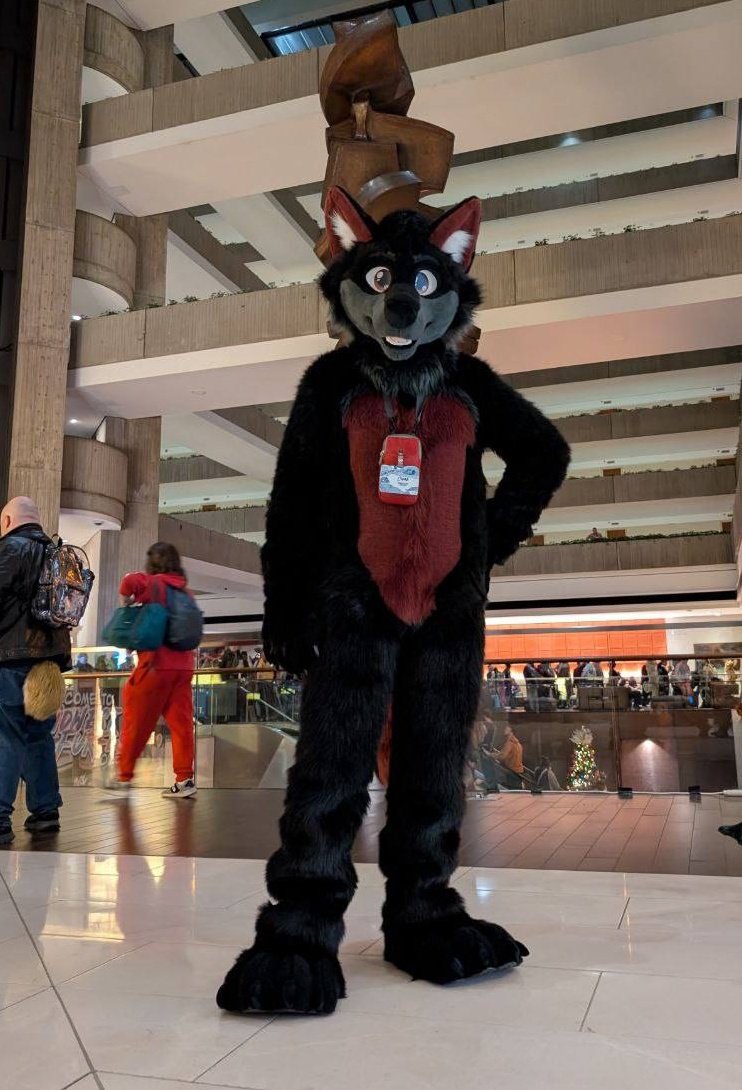 MoonShot 🌙 tweet media