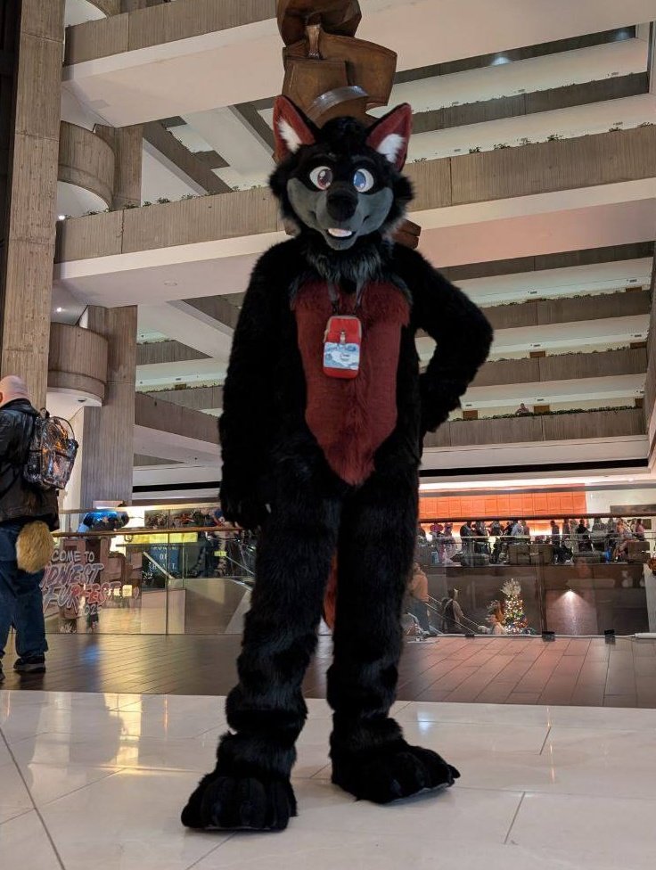 Last week we delivered Chad just in time for MFF!