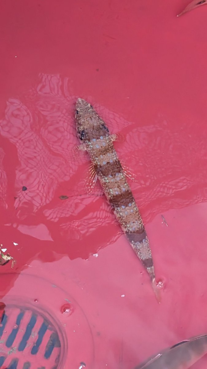 DocodeFe's tweet image. 風があああ寒すぎる