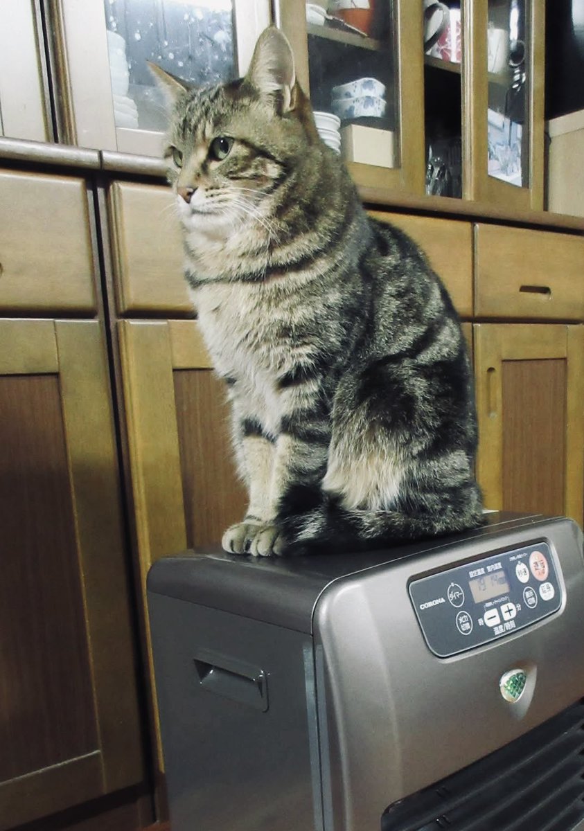 39造 (@mosa_suma_39zo) / Posts / X