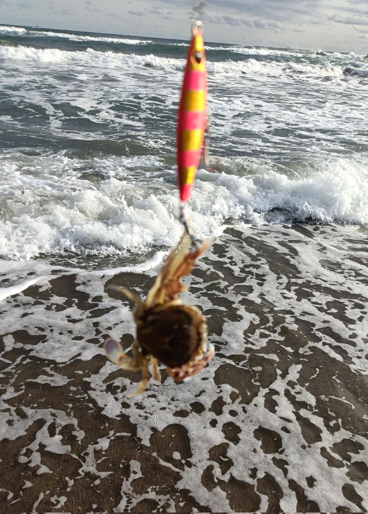 朝練#53終了、ホゲ😩
曇り、弱い横風、適度な波、鳥山無し。いい雰囲気なんだけどなぁ。