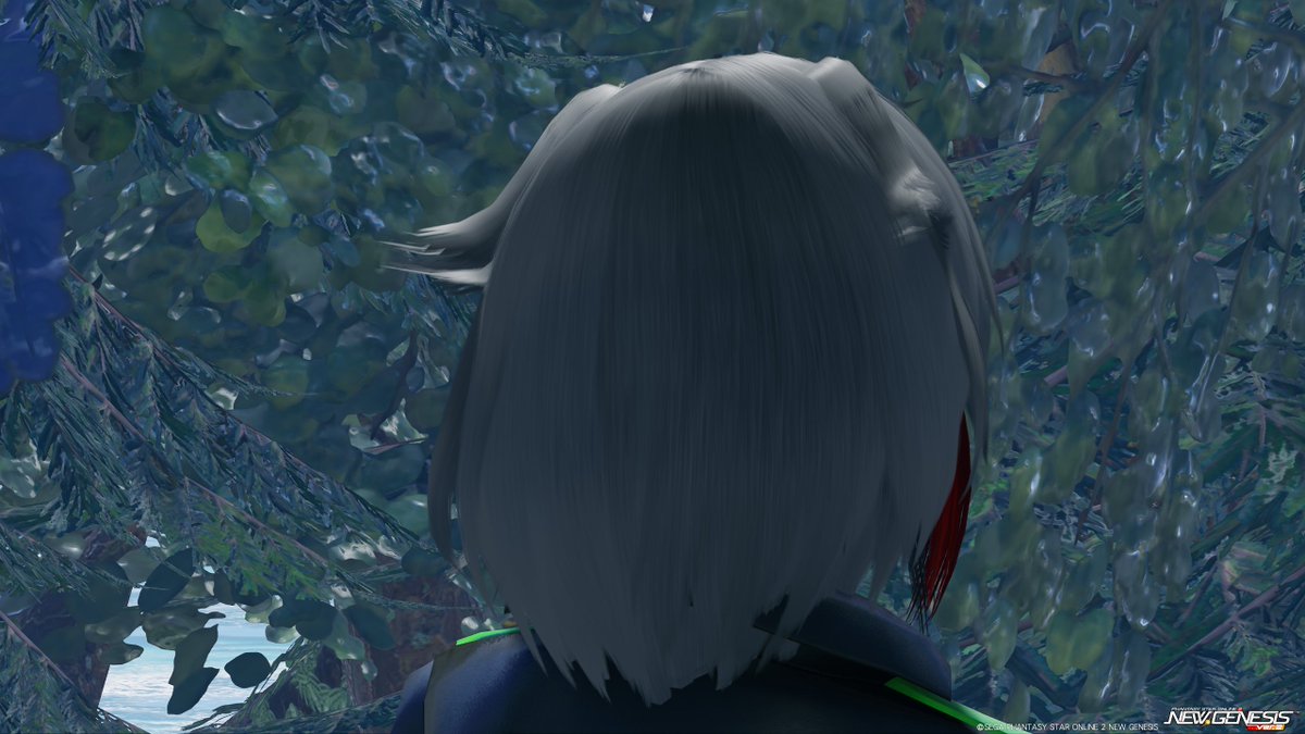 mzk810_1_53's tweet image. ちょっと髪型変えてみた
ホルシード水着ヘアーにエクステ2種類
#PSO2NGS
#PSO2おとこのこ部