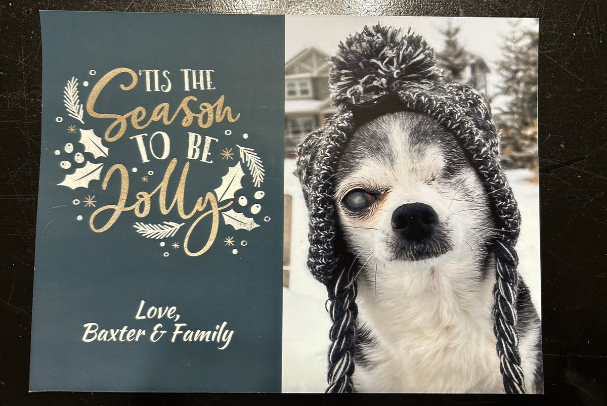 SirSpencerPug's tweet photo. Thank you Uncle Baxter and thank you for all the years you’d send Spencer a card and another one just for me! 
I felt so special! 
Love you forever! 
Lily https://t.co/y6SoUZKvgH