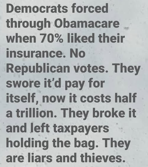 NWRain-Judi tweet media