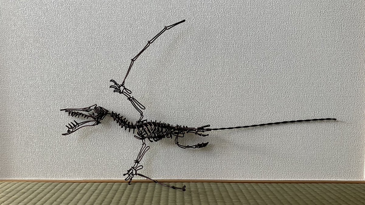 Square wire art museum ワイヤーアート博物館(恐竜など