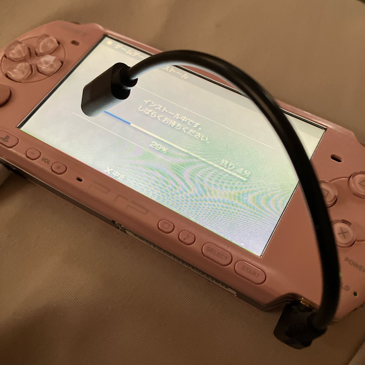 とんすけとん(･∞･) tweet media