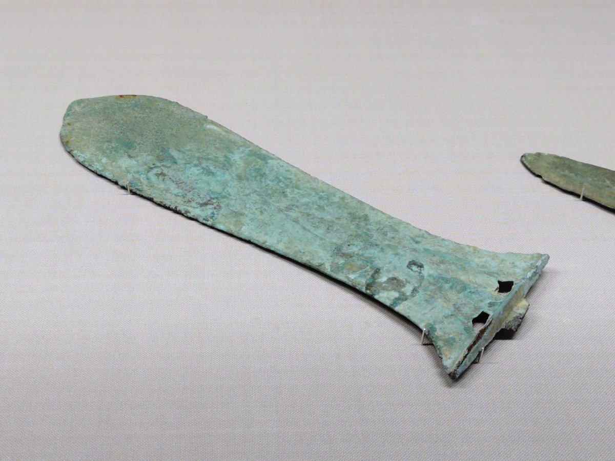 銅戈(どうか)」は古代中国の戦車戦用の武器。 弥生時代に日本列島に