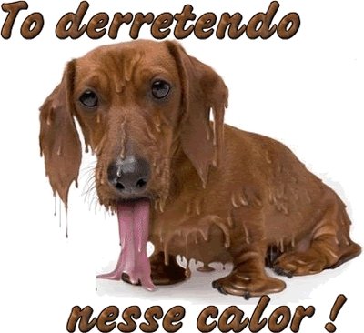 torta de frango (@tortadefrango67) on Twitter photo 