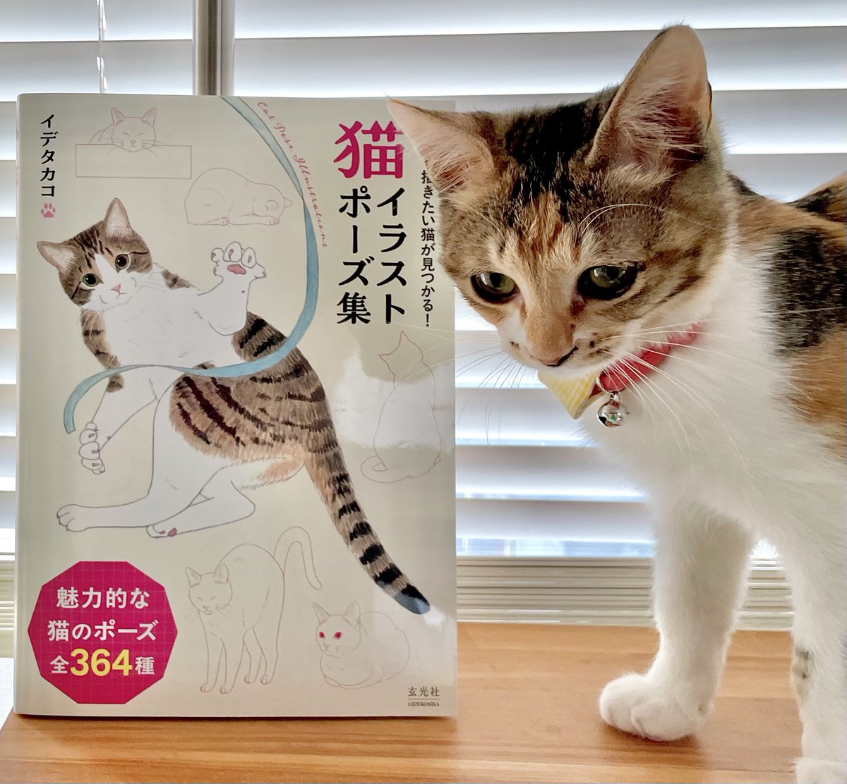猫イラストポーズ集』は、イデタカコさんの描いた猫のポーズが364種類