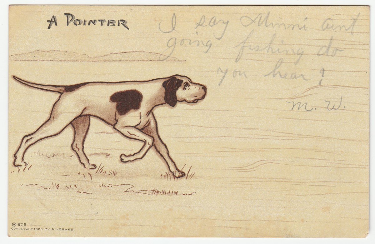 birdhousebooks's tweet photo. Vintage Postcard A Pointer Dog 1905 A. Yerkes Illustration Undivided Back | eBay https://t.co/hOz7VhSaqO  #vintage #postcards #vintagepostcards #ephemera #eBay #eBayvintage #Pointer #pointerdog https://t.co/HmitpJd4Ll