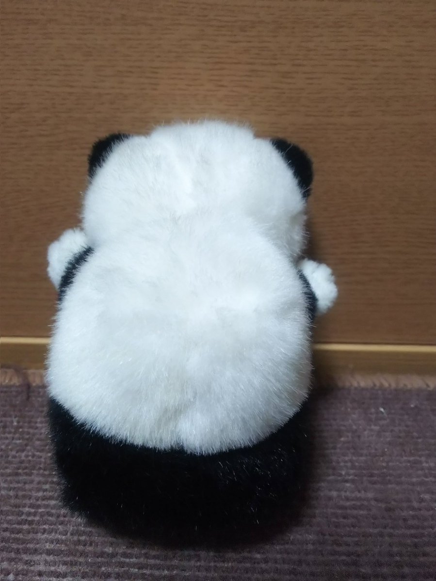 パンダのコロちゃん (90年代) ファースト #ぬい撮り