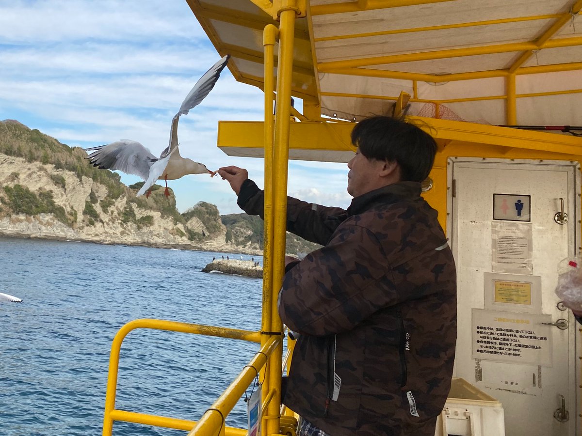 かねごん（麦酒党） (@kanegonmugisyu) / Posts / X