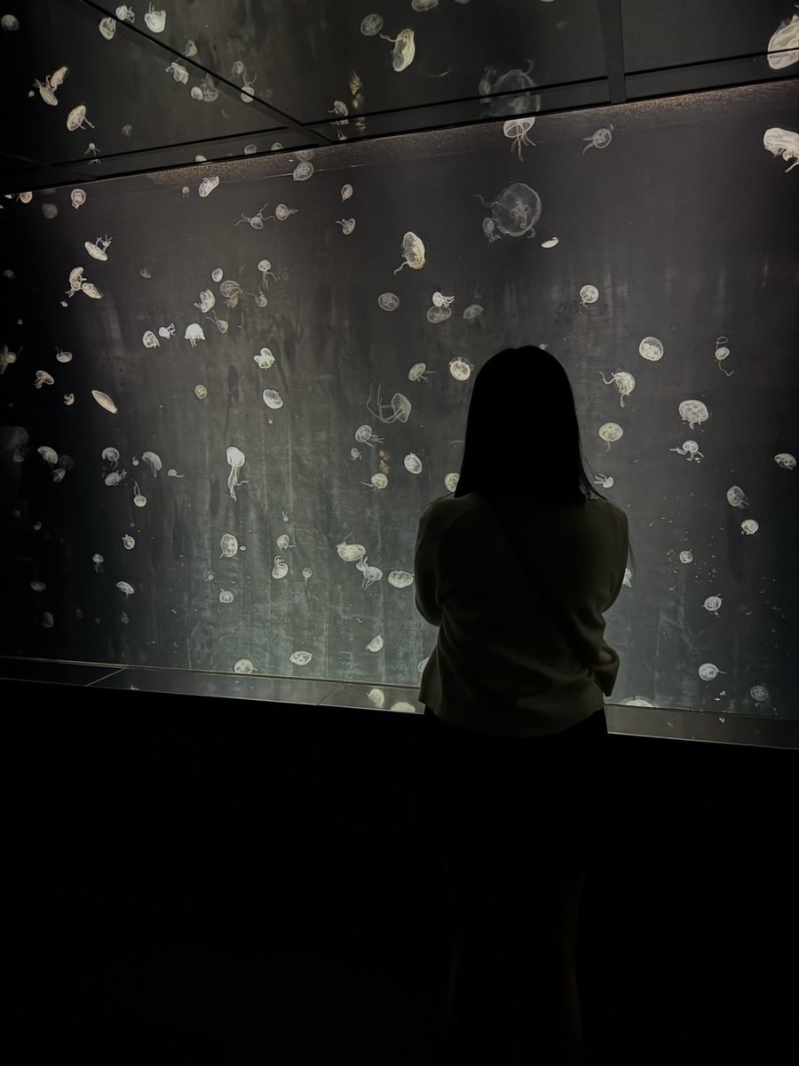 แค่ใช้ชีวิต🩶