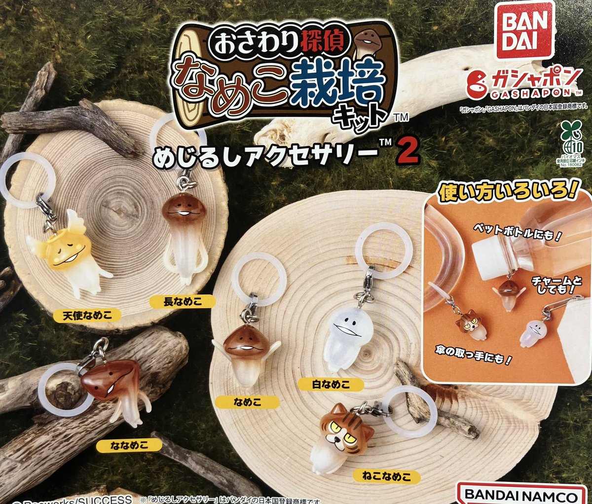 📣 12月13日(土)入荷情報📣 🌟おさわり探偵なめこ栽培キットめじるし