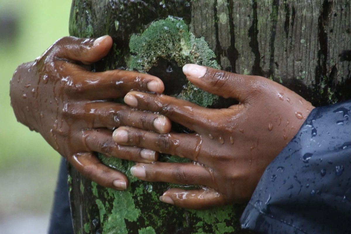 EllyanneCGithae's tweet photo. If RESILIENCE was a person @TruphenaMuthoni  takes it home. Just look at those hands ❤️❤️❤️
Kenyans have a reputation of turning things around. Even President Donald Trump said he admires Kenyans. Looks like a proper Jamhuri Day for all of us Guinness World Records have bowed to your pressure 

The 48hrs tree hugging record is official. Turudi pale online sasa tungojee for the 72hrs record.

Happy Jamhuri Day. Daima mimi Mkenya mwananchi mzalendo ❤️❤️❤️ Children With Nature @CWN_ORG 

#foryoupageシ #fypviralシ #fypシ #leadership #foryouシ #love #seeds #leader #generationactive #TruphenaMuthoni