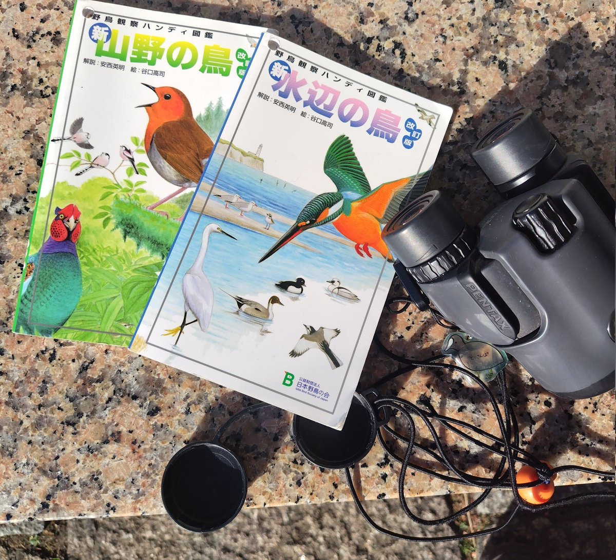 ∠いわし 次➠B'z12/21大阪（20日リセール来いっ!!） (@iwashi_77