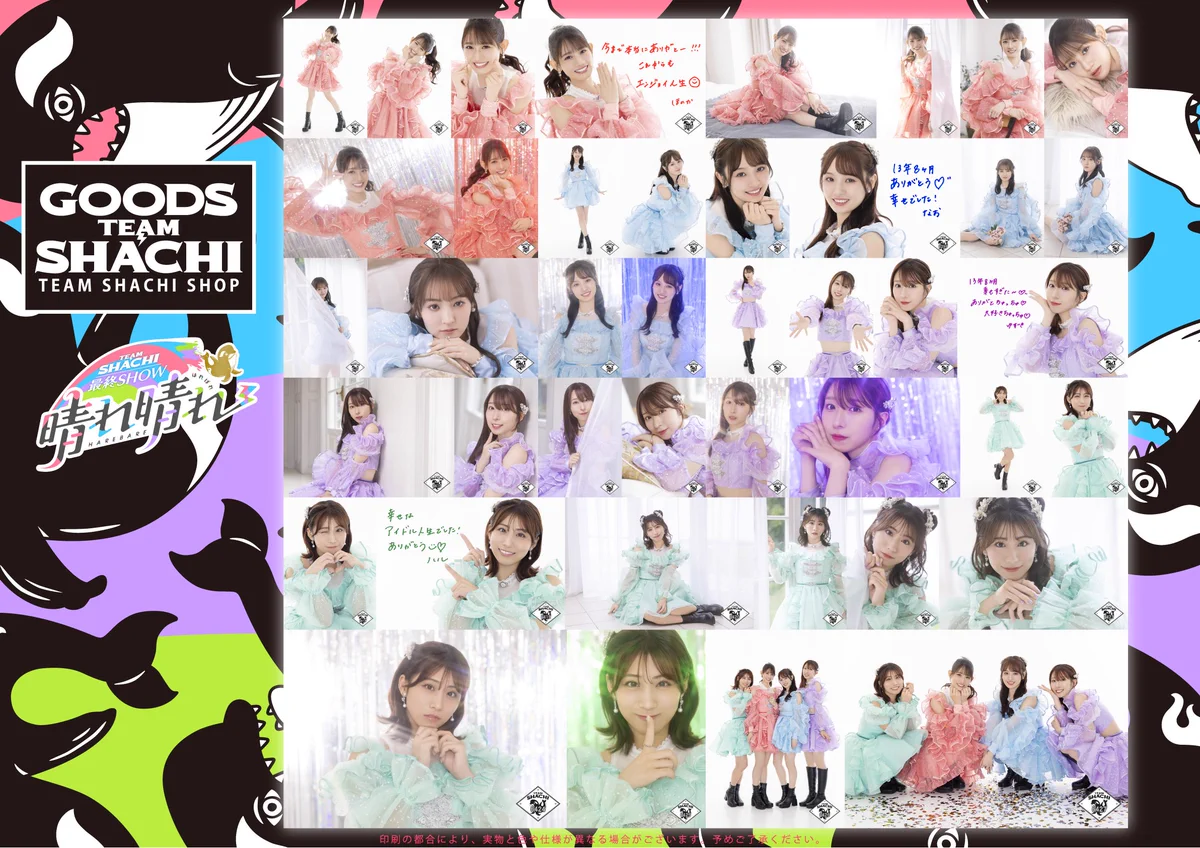 TEAM SHACHI（チームシャチ） on X: 