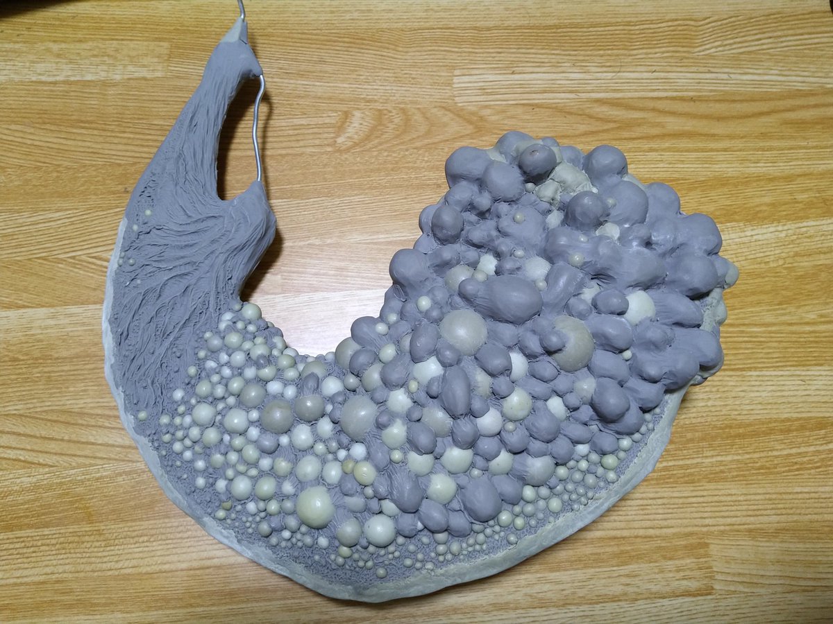 Pre3Nitu's tweet image. ゴースの遺子の胎盤が出てきた。懐かしい