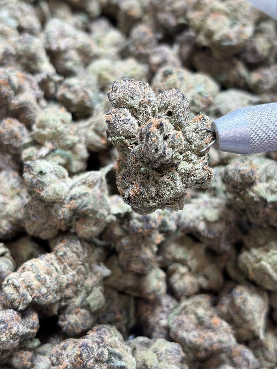 Not explicit… just exclusive.