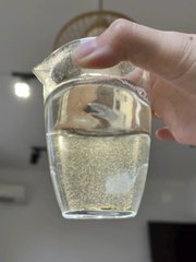 Paige_silly's tweet photo. あなたは白茶を飲んだことがありますか？ https://t.co/WvtPYfw1SX
