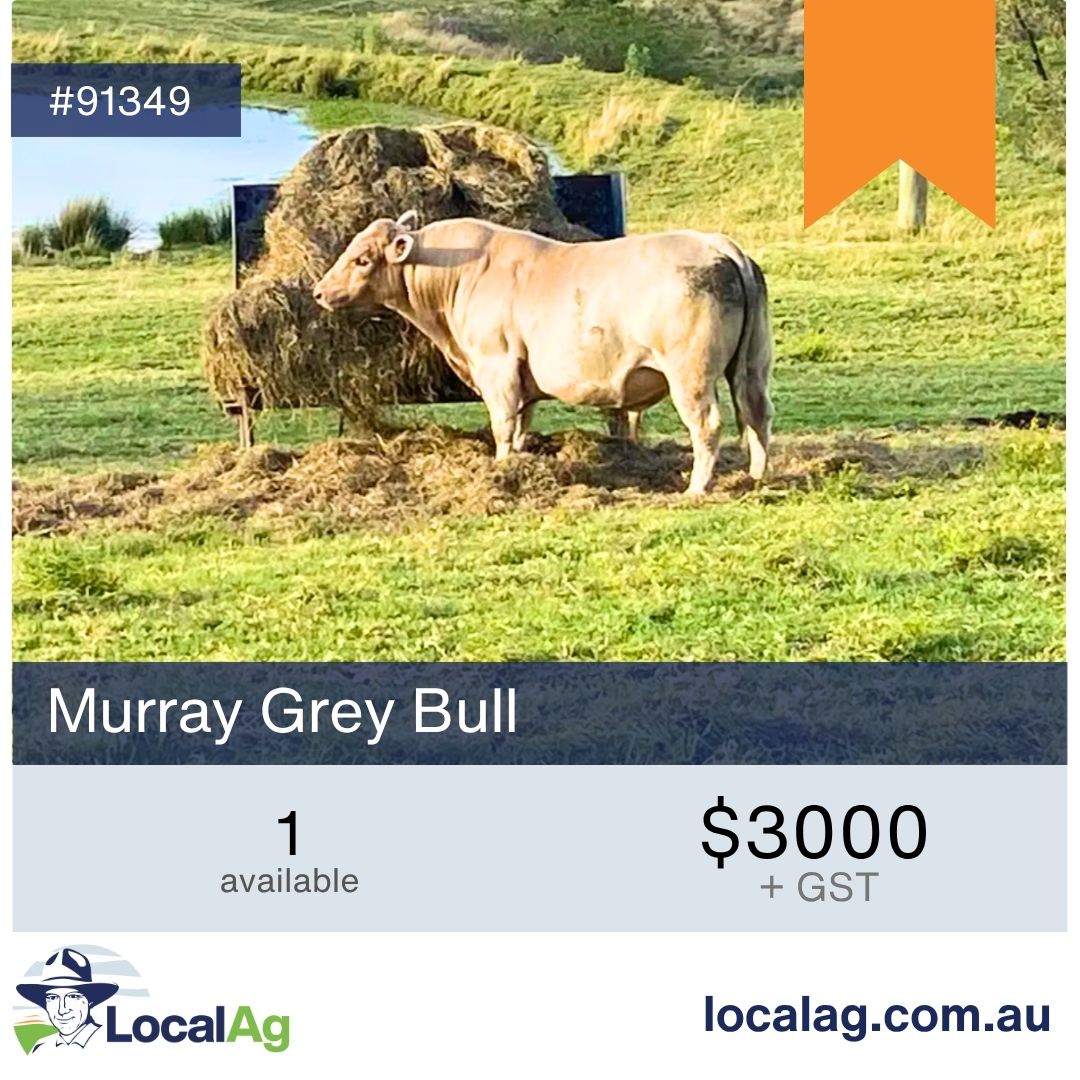 Kev_LocalAg's tweet photo. From hay to fertiliser, grain to moisture meters, livestock to machinery, we're here for the lot.

Download the app and become a buyer and a seller.

Check out the latest listings across all the categories.

#AgDayAu @NationalFarmers https://t.co/WC2z76dmV1