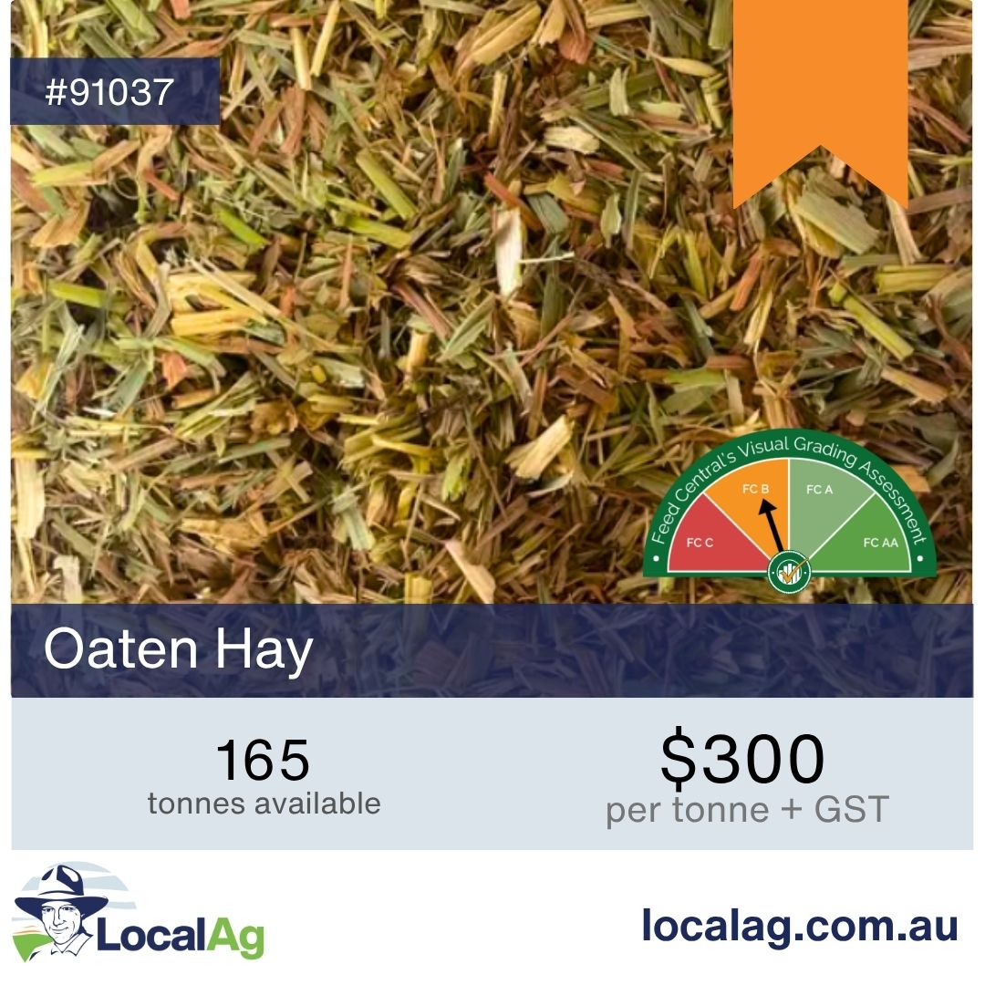 Kev_LocalAg's tweet photo. From hay to fertiliser, grain to moisture meters, livestock to machinery, we're here for the lot.

Download the app and become a buyer and a seller.

Check out the latest listings across all the categories.

#AgDayAu @NationalFarmers https://t.co/WC2z76dmV1