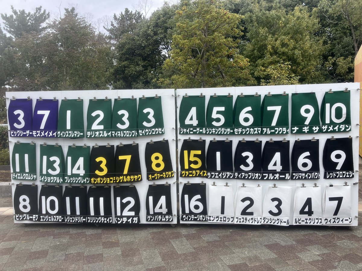 競馬 アンブロジオの実使用ゼッケン 中京競馬場名物、実使用ゼッケンプレゼント。1番人気はモズメイメイ