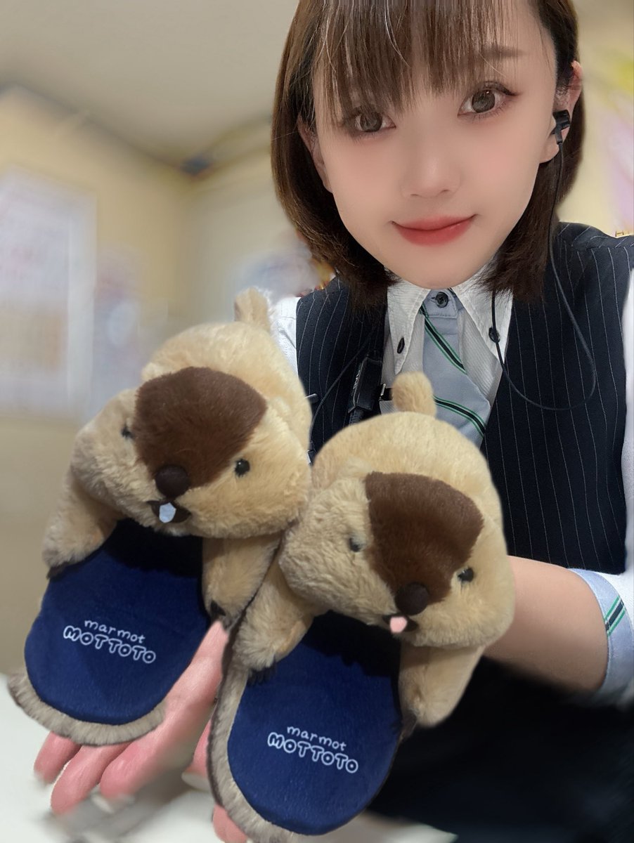 わかポン🌻📣('ᴗ' )و🐧ྀི🐠☃️🍧🍎🧸💜 (@SHINJI1709w) / Posts / X