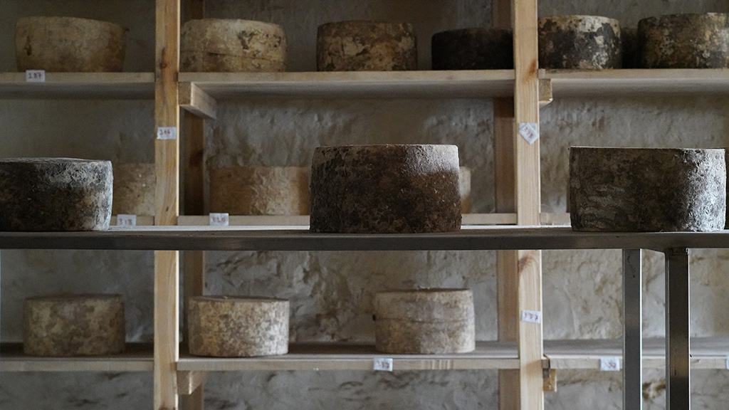 Mossgiel Organic Farm tweet media