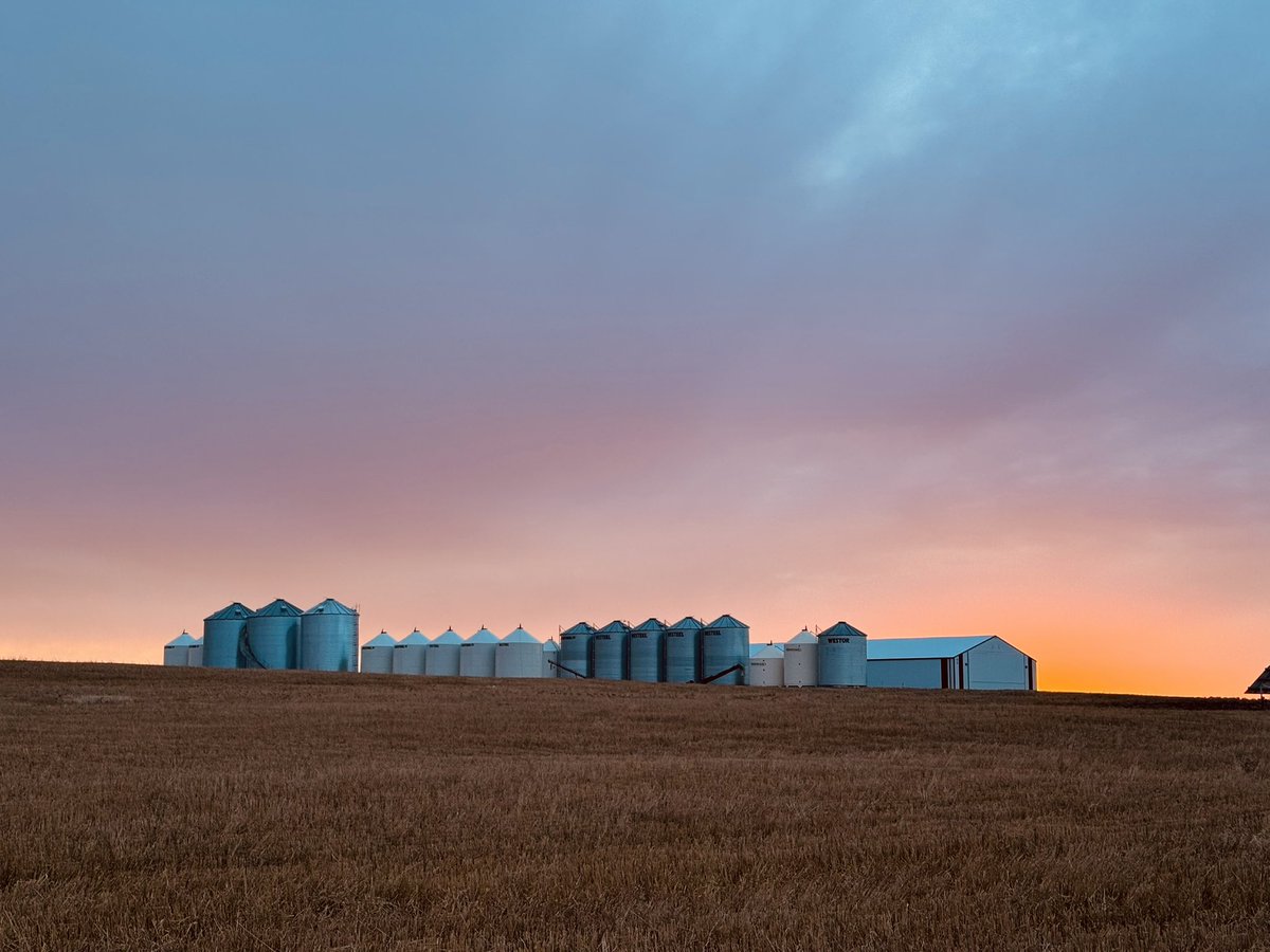 𝑹𝒊𝒗𝒊𝒆𝒓𝒆 𝑨𝒈 𝑺𝒆𝒆𝒅𝒔 𝑳𝒕𝒅 🌾 tweet media