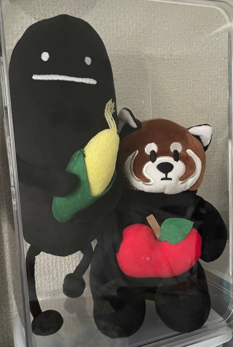 Cu_coin's tweet photo. クレーンゲームで念願の2体目ゲット！
ケースに入れて飾ってます☺️
次はドーナツのが欲しい！
#グラニフ札幌 https://t.co/66argzNWlT