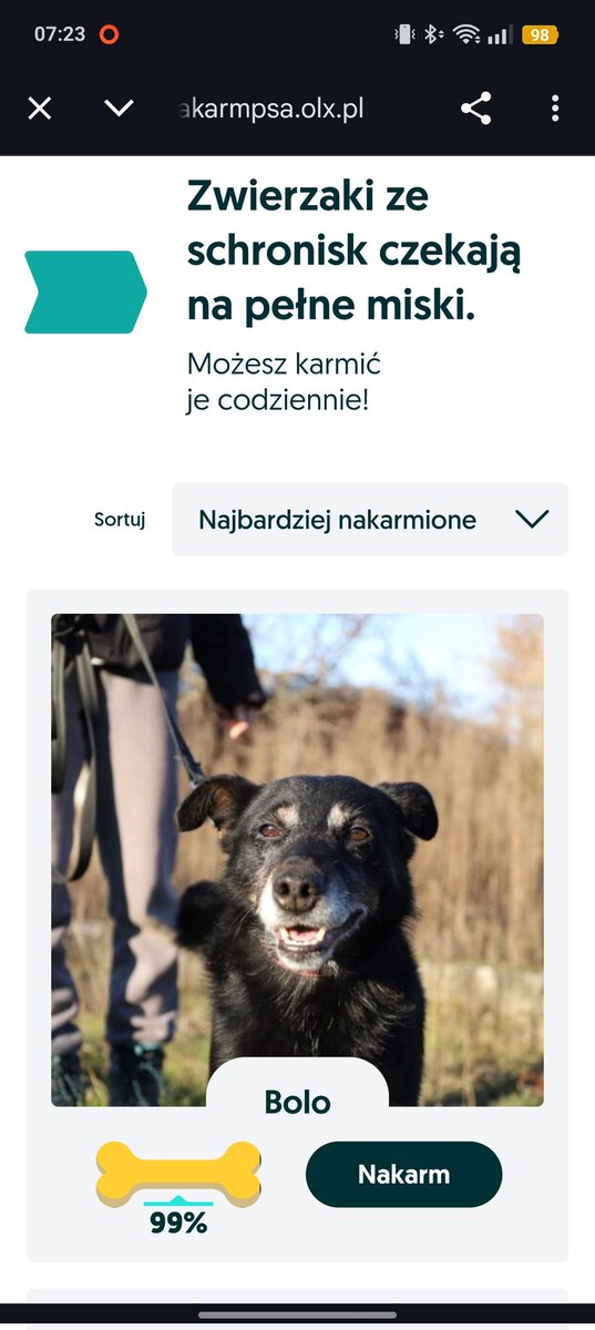 ✨wroniara✨ tweet media