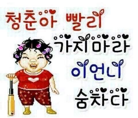갈련 tweet media
