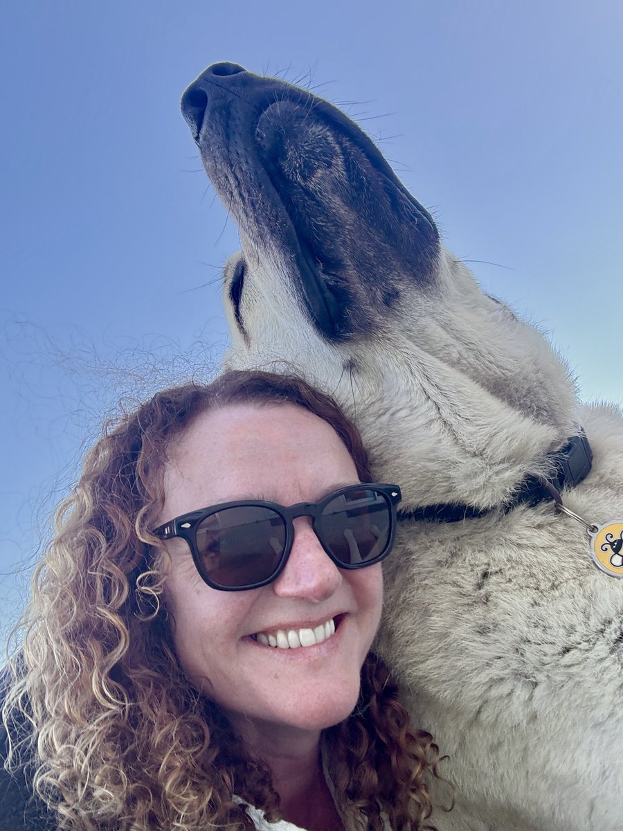 Calliss Clan (@callissclan.bsky.social) tweet media