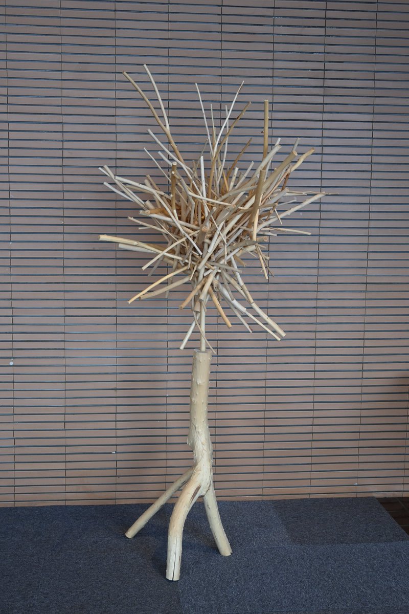 【今日の樹華】
＃砂澤ビッキの生きた時代展、本日12/13開幕です！　ロビーの《樹華》は、さっそく形に変化が…。来館者の手によって日々変化していく作品の様子を「＃今日の樹華」で紹介します。
＃旭川美術館