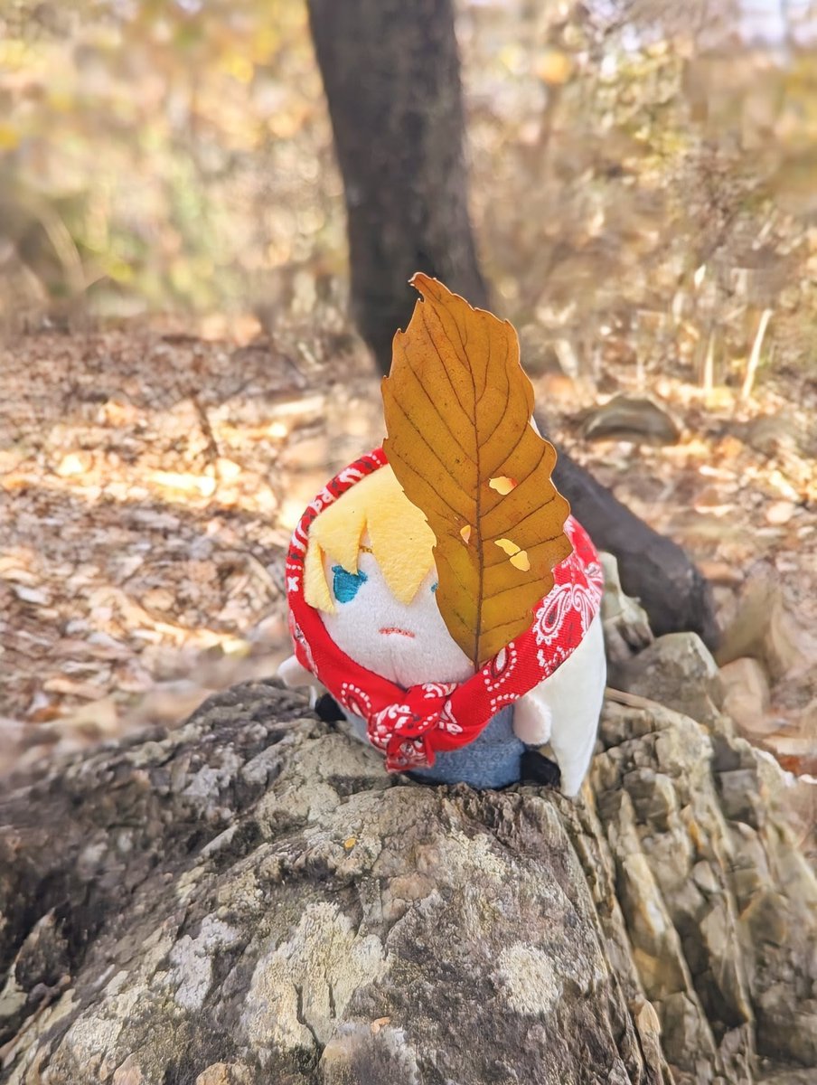 かめん の おもち