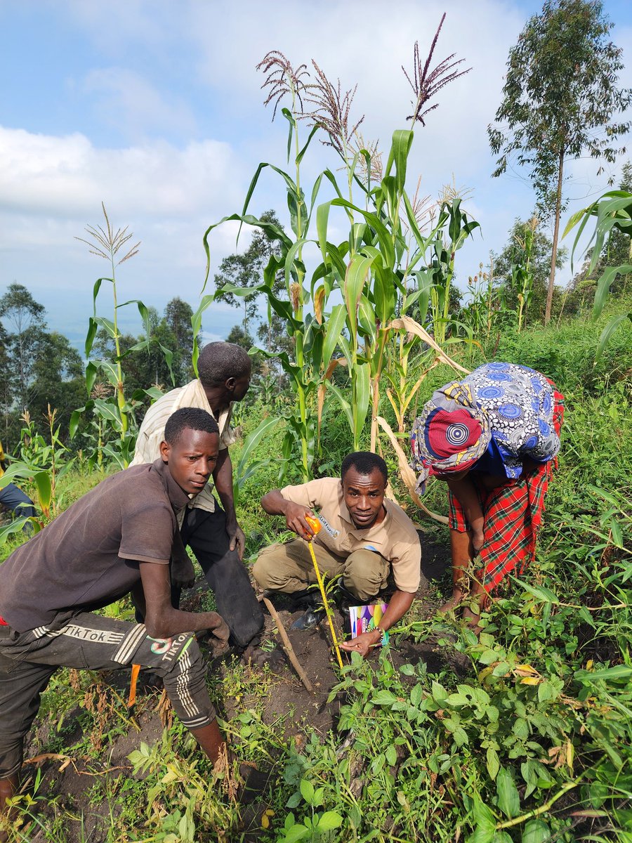 ecosev_uganda's tweet photo. https://t.co/FfIJbCEdx4