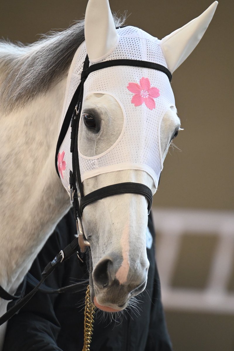 marin様オーダー専用ページ MARINさま専用イラストオーダー ⭐︎Marin