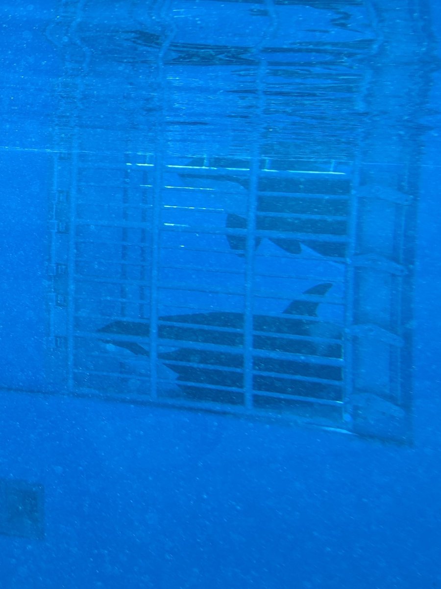 404 not found tweet media