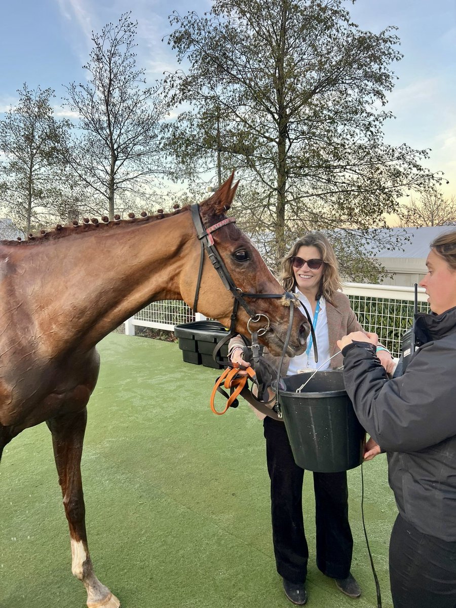 ShovelstrodeRH's tweet image. What a wonderful day @CheltenhamRaces with Everyonesgame on Kate’s 50th Birthday 🎂