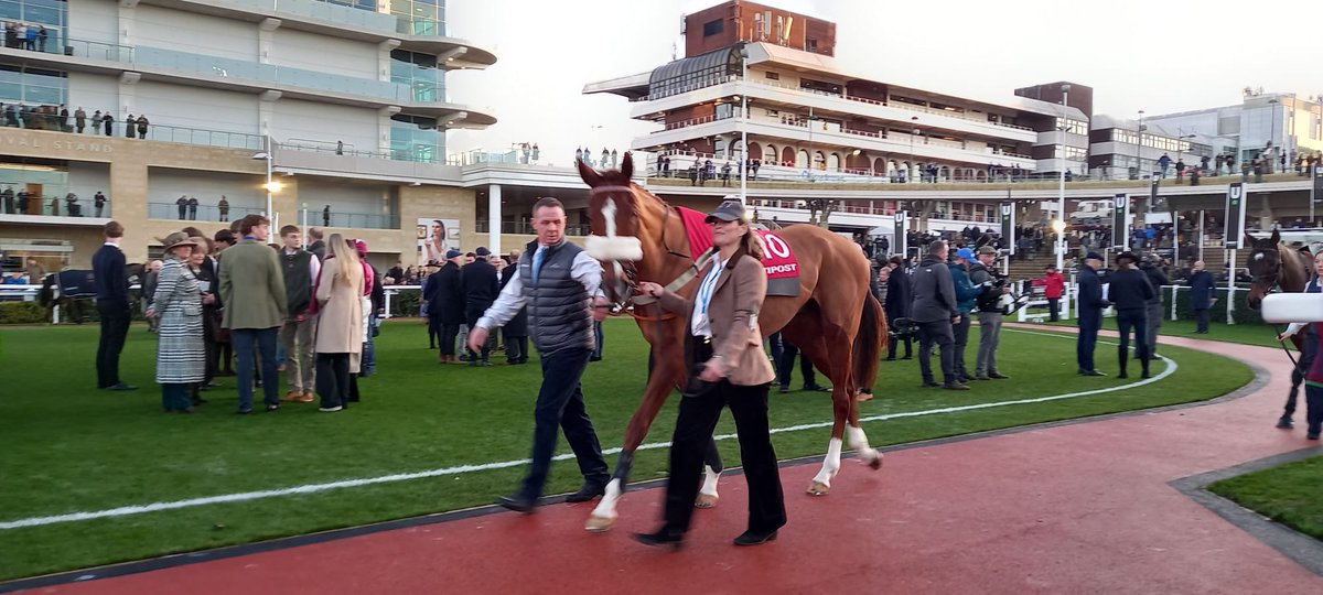 ShovelstrodeRH's tweet image. What a wonderful day @CheltenhamRaces with Everyonesgame on Kate’s 50th Birthday 🎂