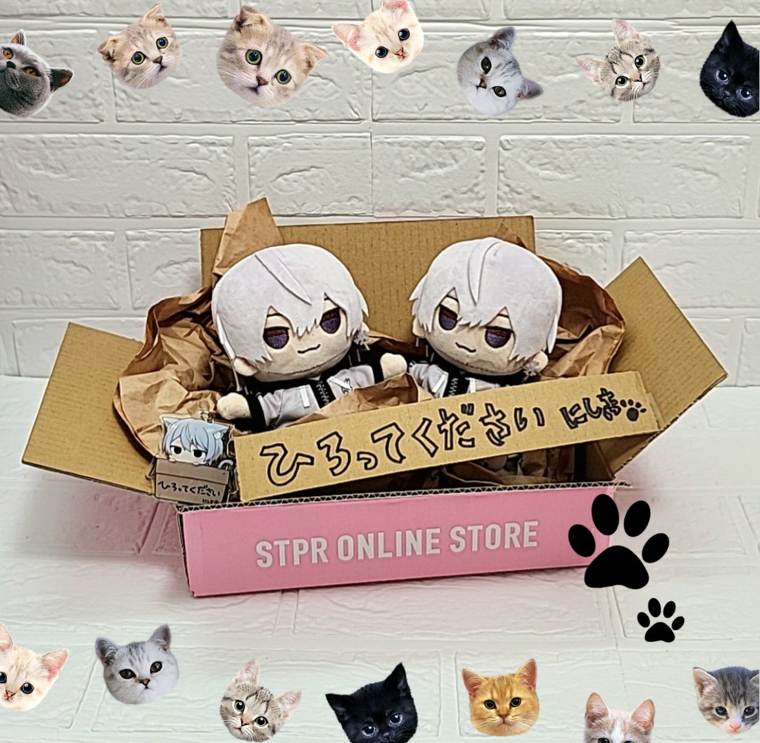 めっちゃ可愛くない？ ダンボール📦に入って にしきくんのぬいが 届い