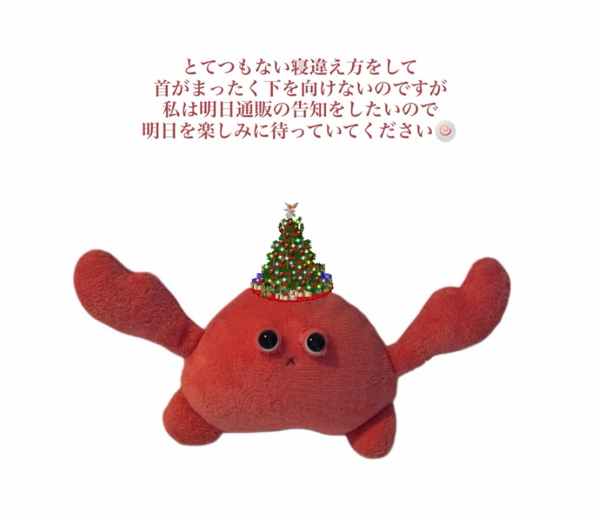 ぬいぐるみ本舗🌟 (@hmwr_honpo) / Posts / X