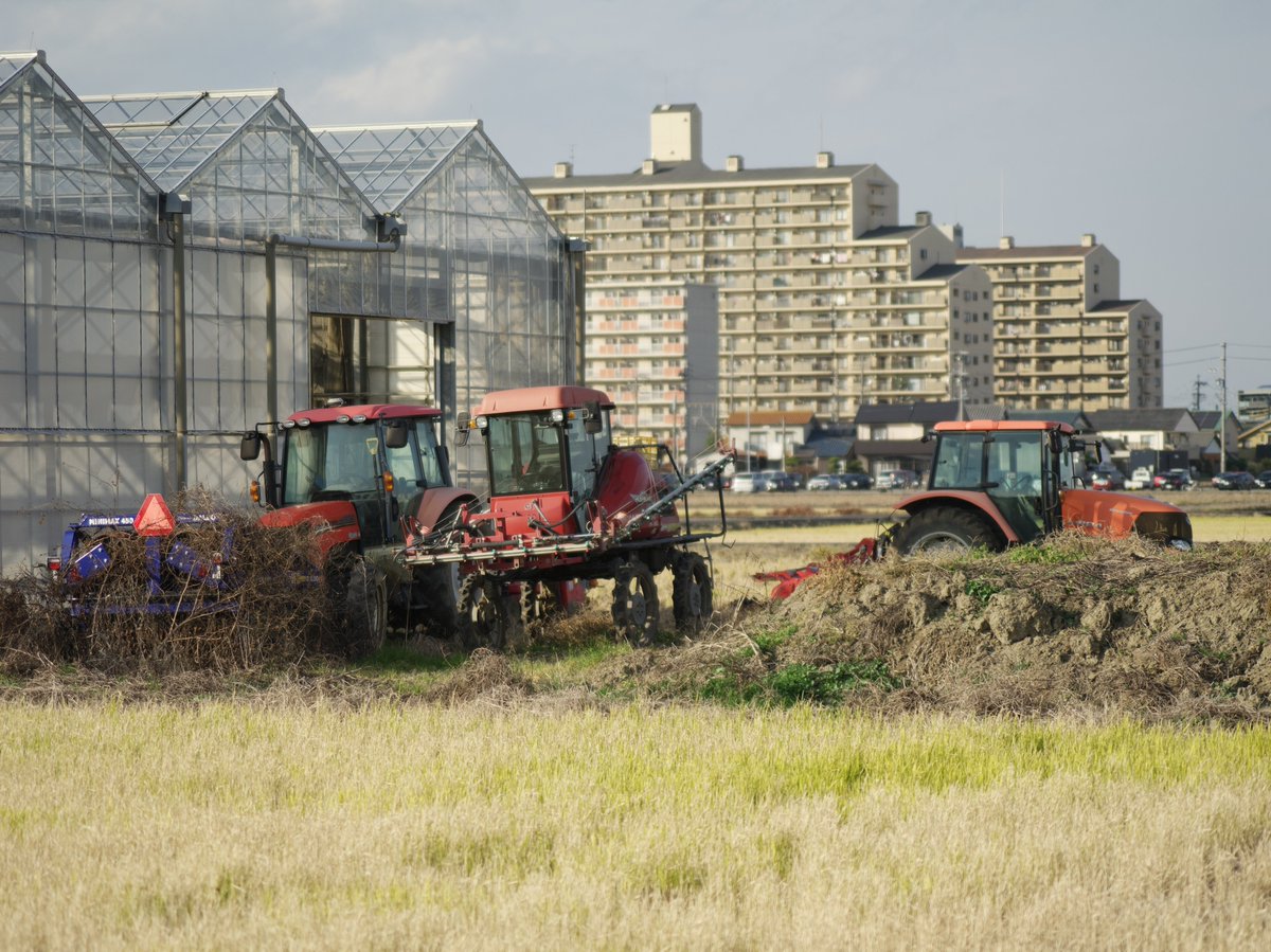 さらしな (@sara_4ee7) / Posts / X